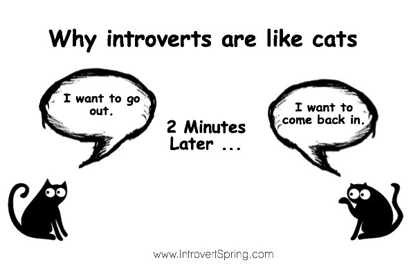 why-introverts-are-like-cats.jpg